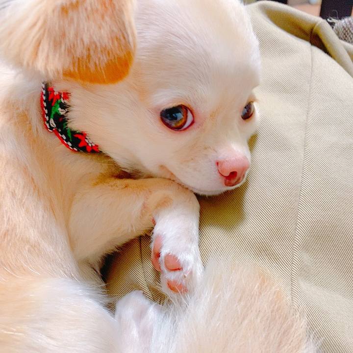 0331e207 d5c4 43ab adb5 3ecf0d4311fd 1629375615469