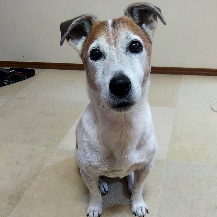 0332141d 5de7 42f0 bce8 f30b51495342 1560290928066