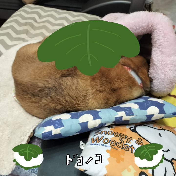 033215c9 4691 4965 aee9 099d93672079 1749351037993