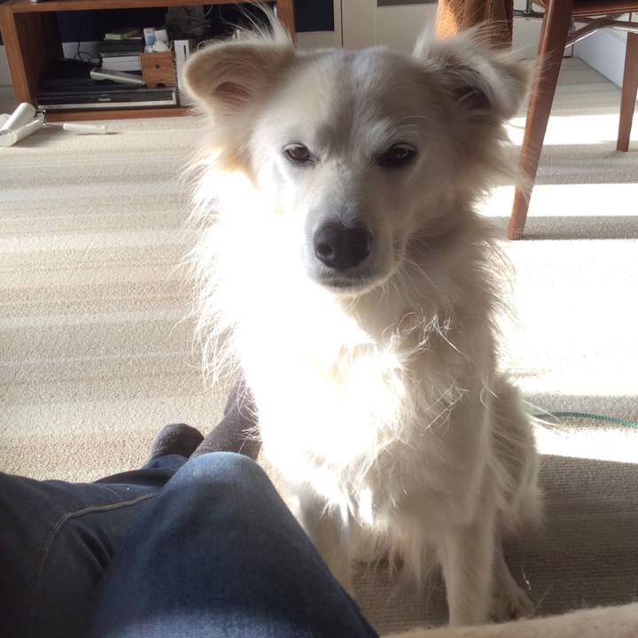 0332758f e376 4db2 a501 f435ac33b40a 1512608047234