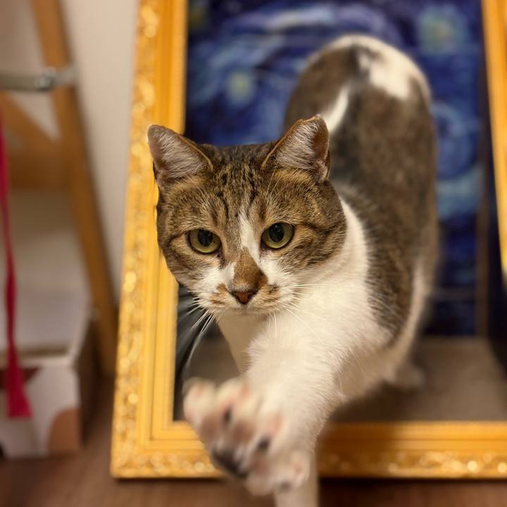 03329d4d 63d3 48ec b54f cb8f41fa56b8 1759829625493