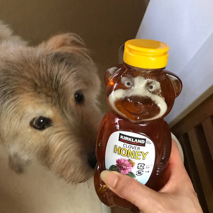 0332c21e 56d1 439b 80a3 0e4d94f3d3c7 1565990440522