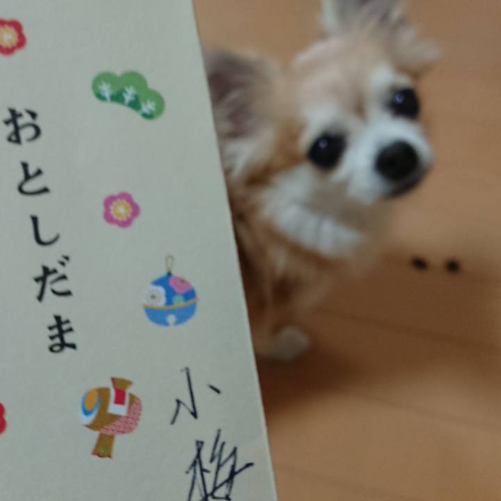 0332e52e b5bc 41da afda 1c6fc50c2788 1514790109185