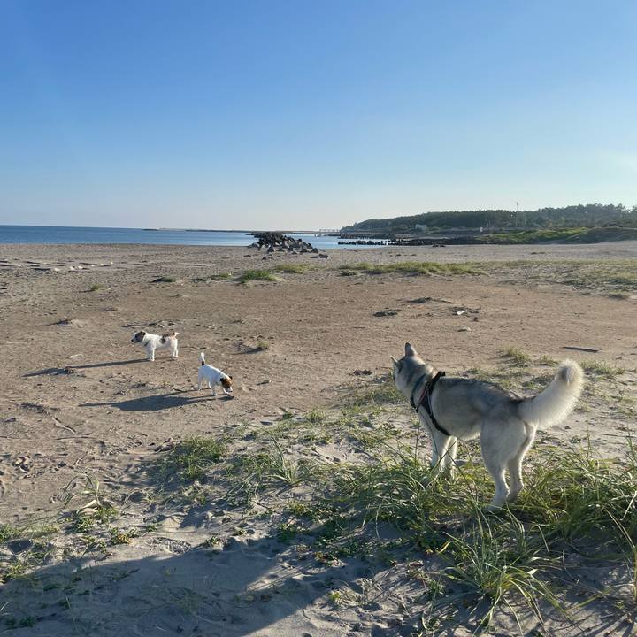 0332f2ef f504 4b0e ace8 22a43a884a18 1727744536492