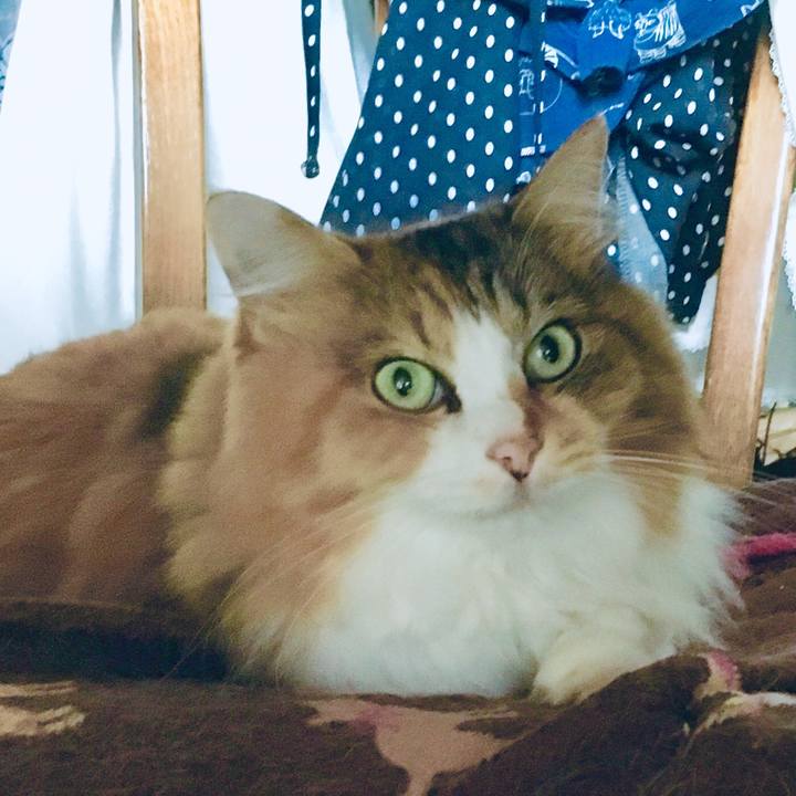 03330a6e f646 45d6 bfaa dfc2022a847a 1568691804499