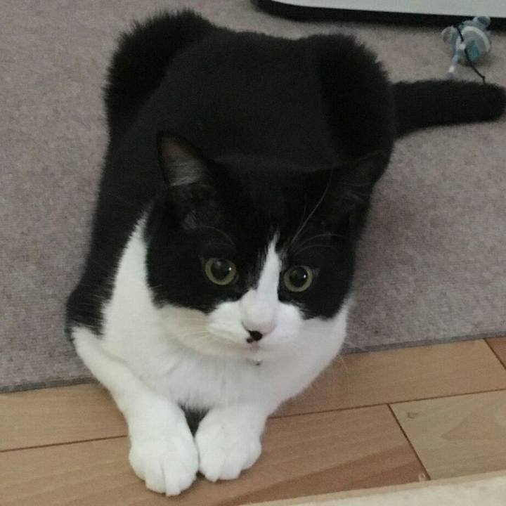 03331f9b 4914 4483 a81b a0d112d26f04 1508917919489