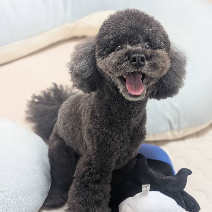 0333335a e13f 4859 bd58 15041e52860a 1759121714794