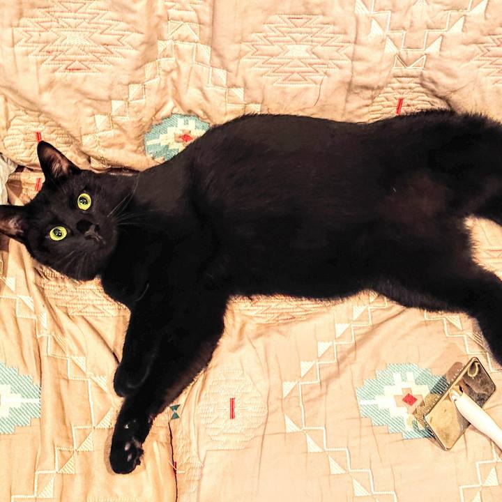 03333991 c622 431c 9e25 61e6e0476b41 1536897358904