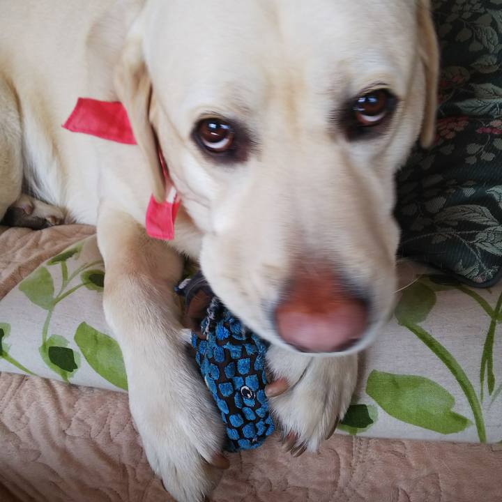 033346e4 da8b 4968 9491 a904149ac7d7 1579229992954