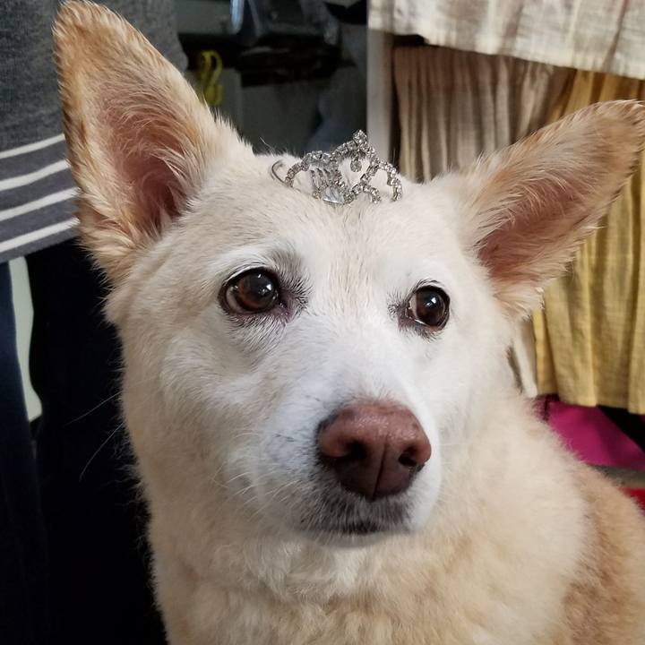 033359b2 987a 43de bbef ab2a0627af6a 1582808508882