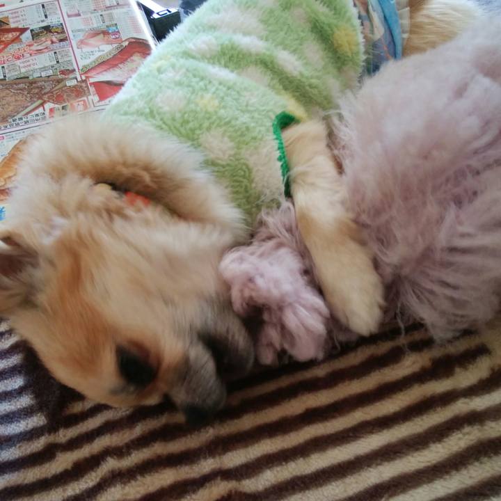 03338331 beba 4809 8f1e 178426e55e12 1512525392446