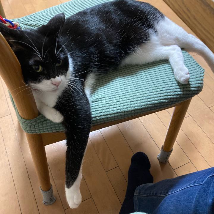 03338b07 0abc 45db b226 b59a695fb824 1684767511262