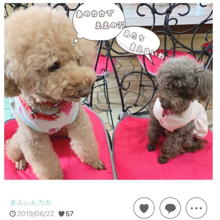 0333a8af ef82 48a3 b768 1beebec8792f 1687819104185