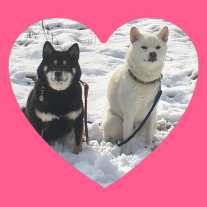 033414d8 8d36 41d2 8e90 4edc2837d6be 1518544515857