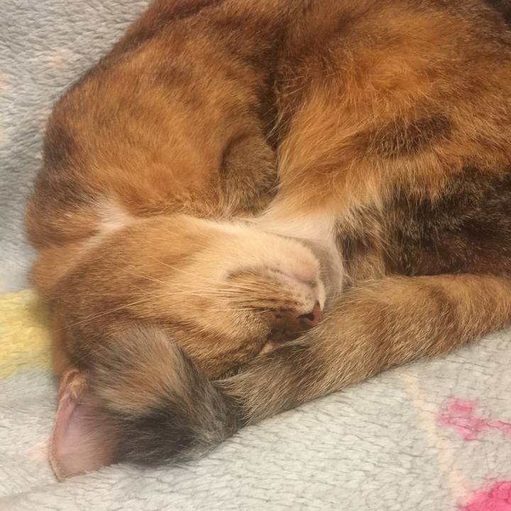 03347fa9 a729 4aca aee4 7e44d9d4159d 1571919401678