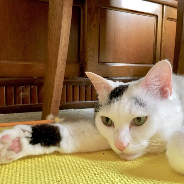 03348403 5504 43da b401 ff8520e93a53 1564298336214