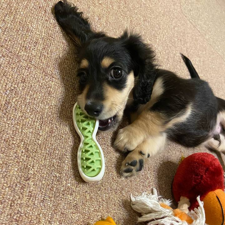 0334b564 dc6a 4ab5 8240 7219db54d2ad 1665531853825