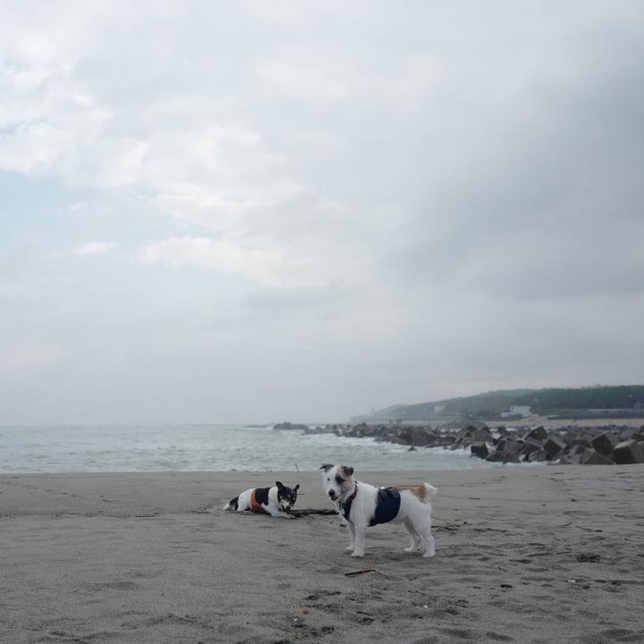 0335a38d 7a3e 467a a225 814bb4af8526 1507696479449