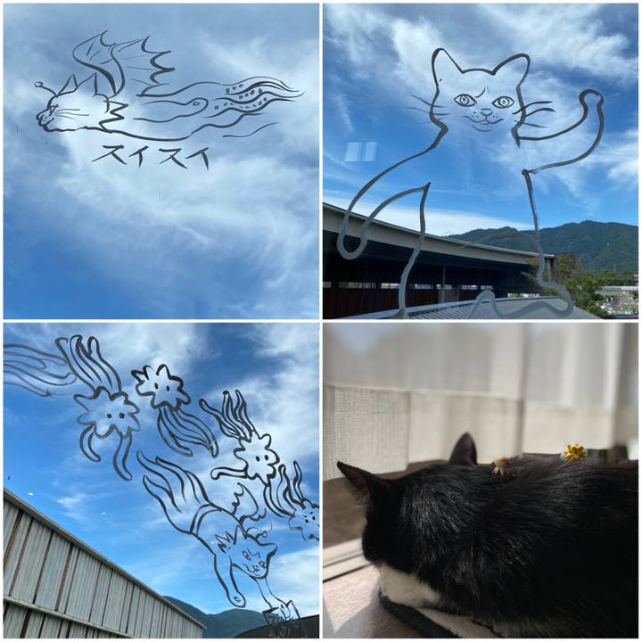 0335ed43 8e67 4f7c 8247 68d7415a5226 1633138316053