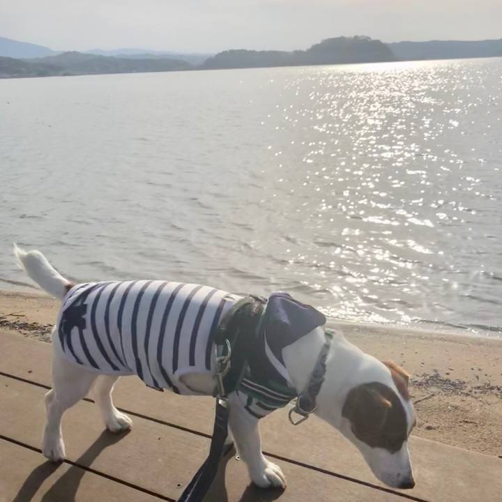 03362f93 f83e 40bb bb79 50ba6f653799 1555487203590