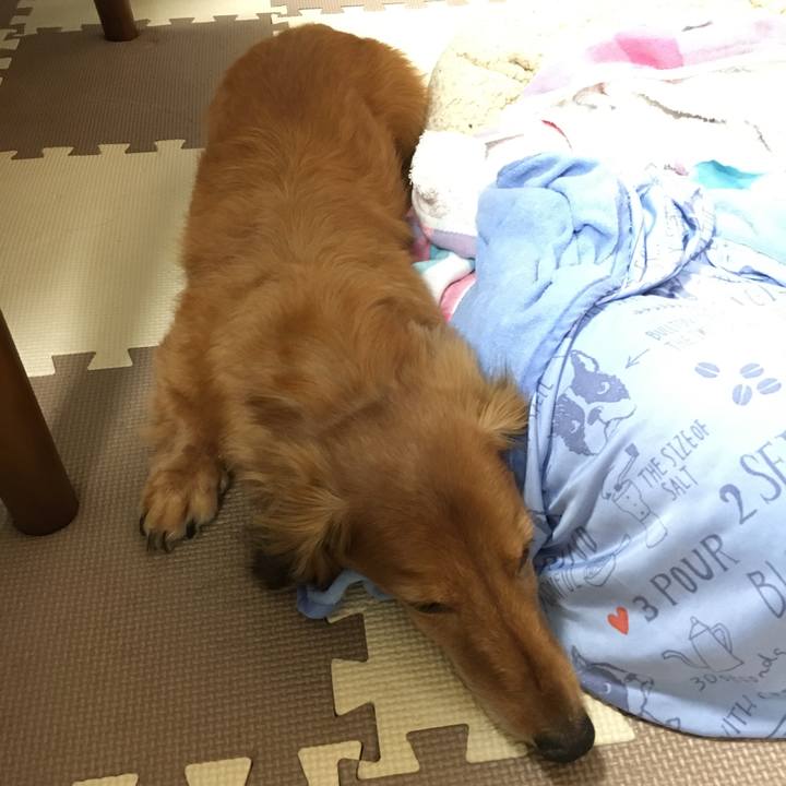 03364038 ff97 454d 99db 7641c9e3973a 1597406237193