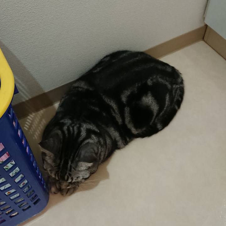 03368db7 7d5a 47c2 9eda 980d87aea81d 1599380280261