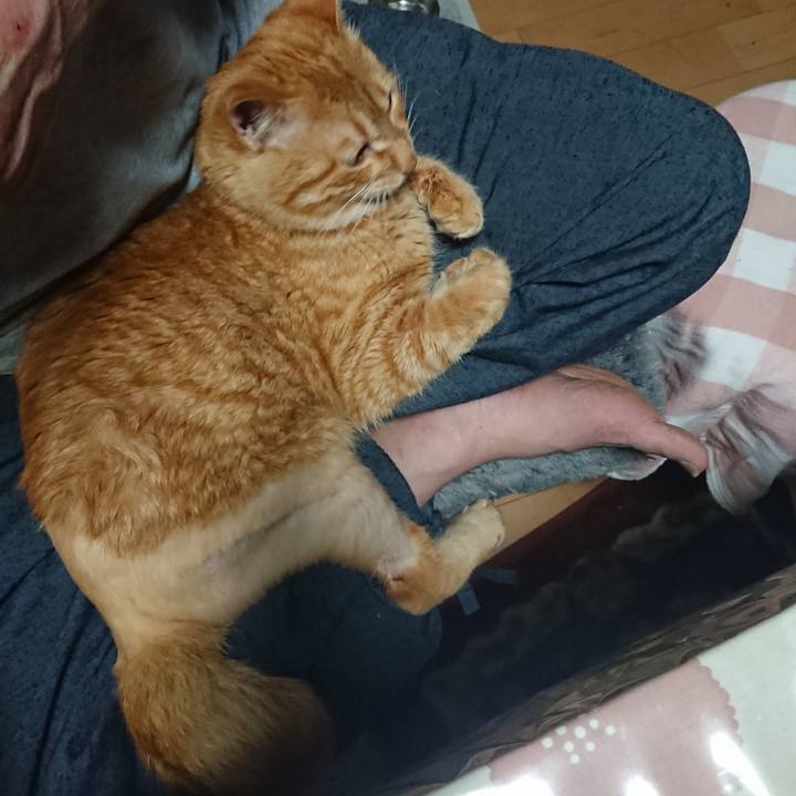 0336aa8b 51d5 4685 8765 68613529c7d3 1655297405756