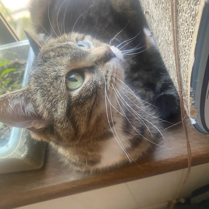 0336accb 10b3 4e2a ab6c aa2e7138fe27 1751152593560