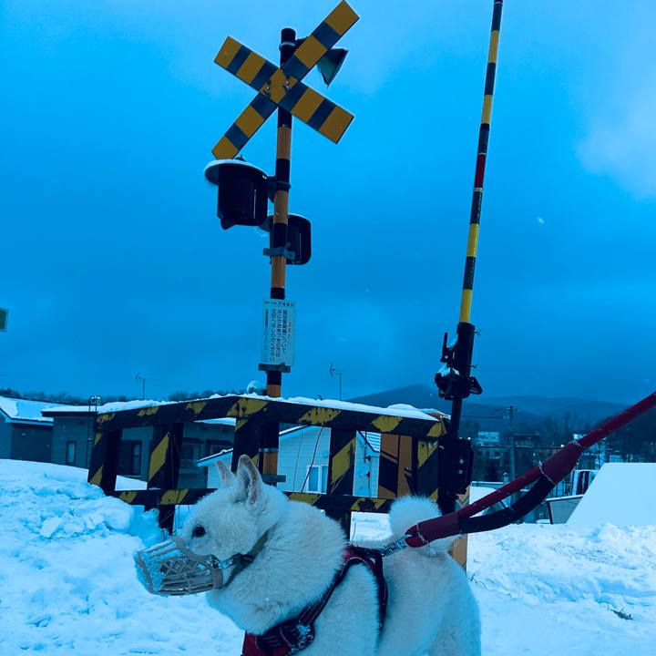 0336c44a 767d 4c7e 940d 6a9e9a6938eb 1767479505420