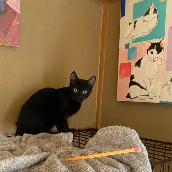 033700b1 3570 4e0c a179 97f8fdc3979f 1615116466544