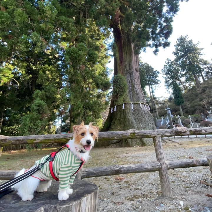 03371a68 0a8f 4028 a6be d6f40f0b2d02 1767529049489