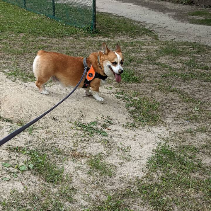 03374431 60ab 4548 a448 dddb7ca97ce4 1687820648573