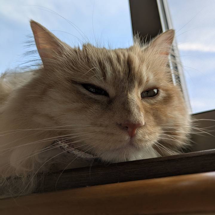 0337b782 9c75 4141 8478 a1ee01ba6615 1751066775250