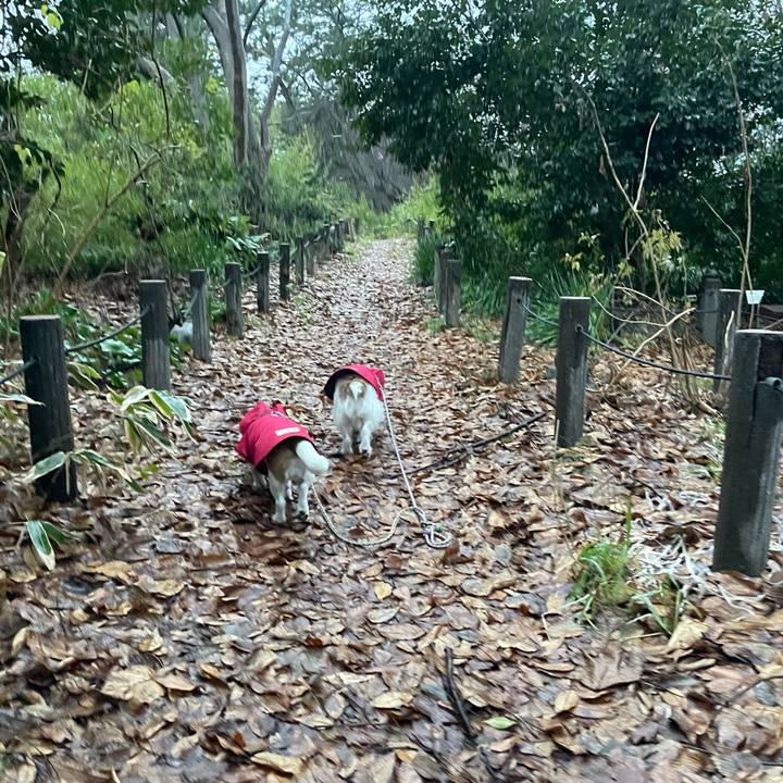 0337b8a1 e0ca 4ad4 9e65 06f11da4f1b5 1705531255398