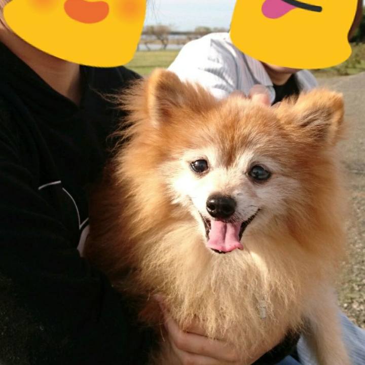 0337ca25 1ec5 428f 82f5 4450a5d31ba8 1571556980058