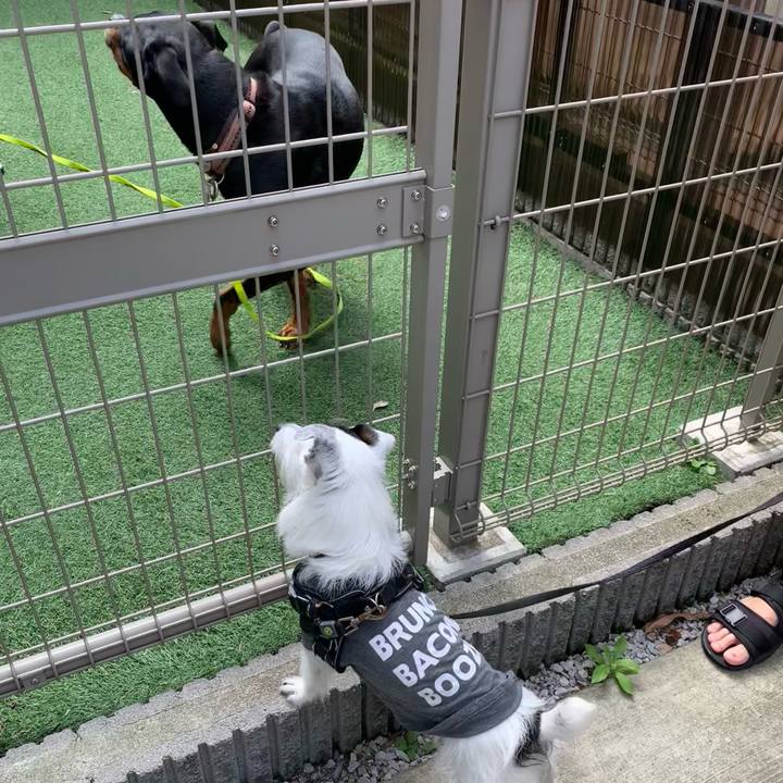 03380887 8285 4c46 8853 adf9e7026f58 1684629783579