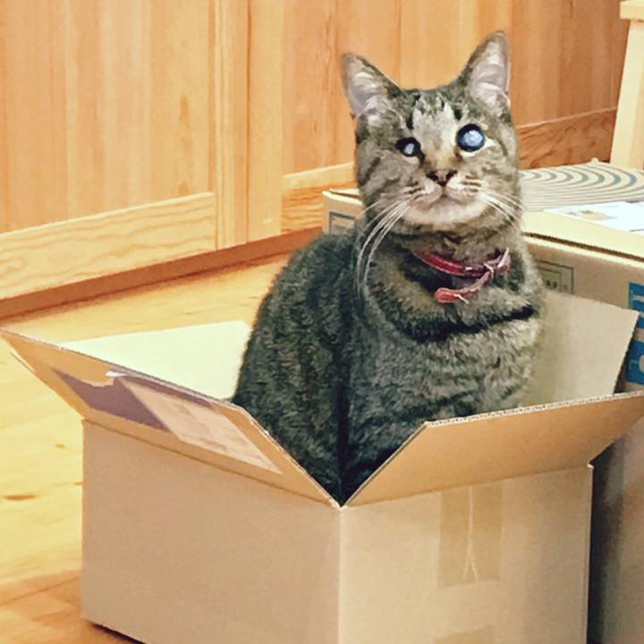 03387a93 5395 4426 903f 0d18d125db9d 1524540939633