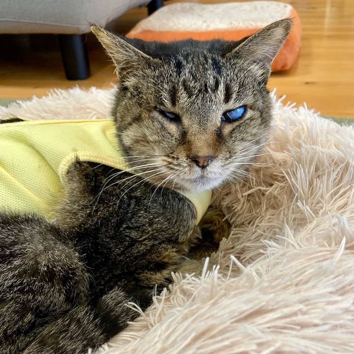 03389f81 678f 465d b970 35c9f57aa854 1685852318985