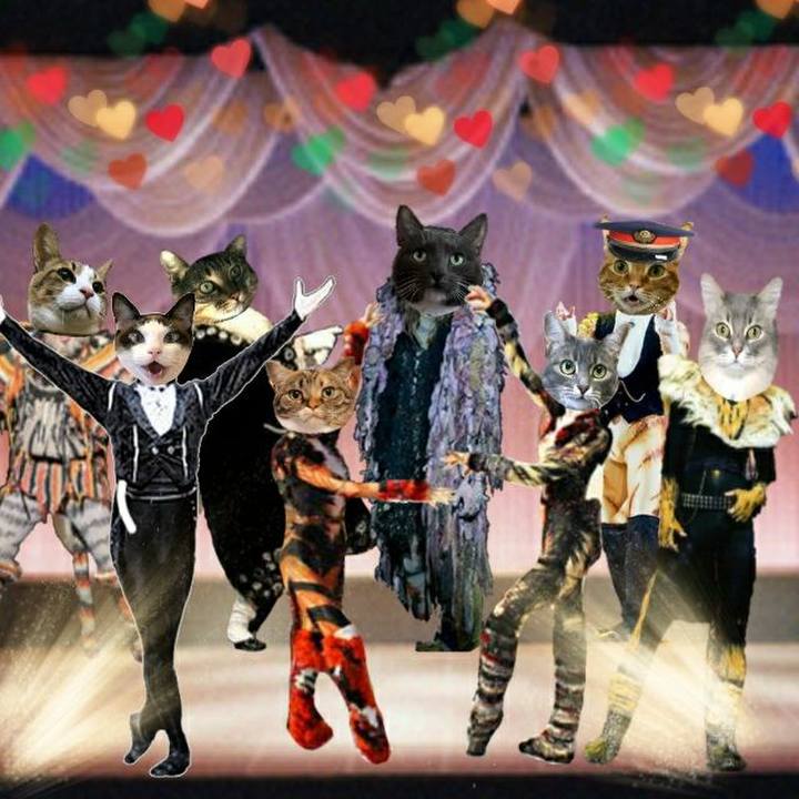 0338fa2e 196d 4b6d 82ba 6150ed5781bc 1544779721497