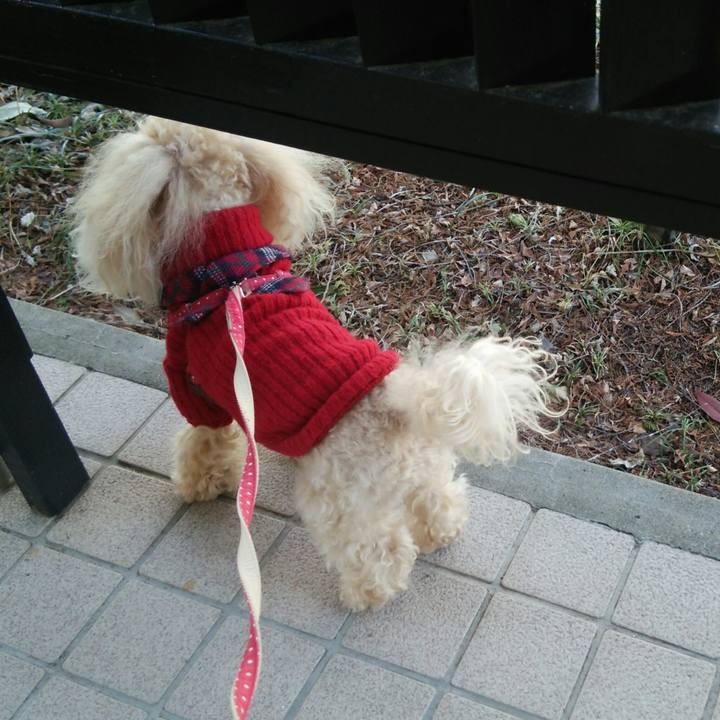 0338fd98 f231 41f7 8763 116c79a260ae 1520412043323