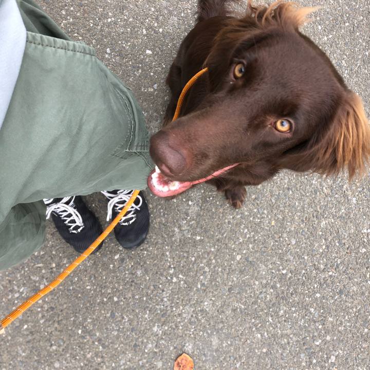 0338fdda 167d 4e25 8708 7fa7d40f5606 1568326690976