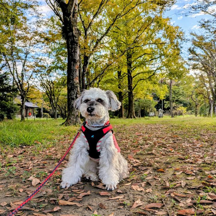 03390e4c 42a7 4c9e a38b d9d9bd68a9ae 1761345453886