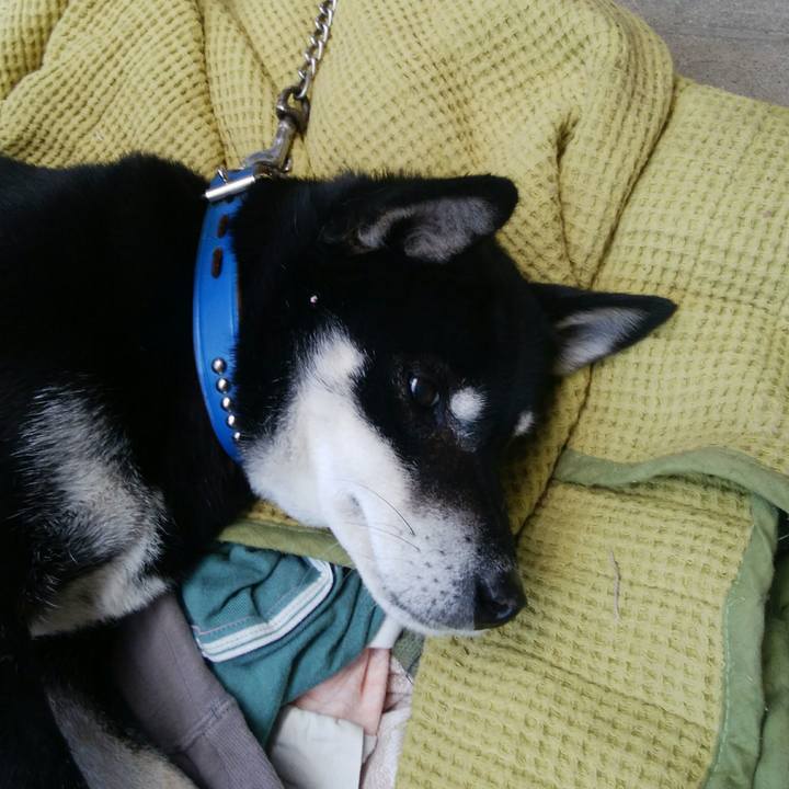 03390fd3 8fd6 498e b48d de8401d94082 1514696911281