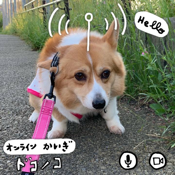 0339356b bbd3 4caa bd7b ab8505f55eda 1590710461342