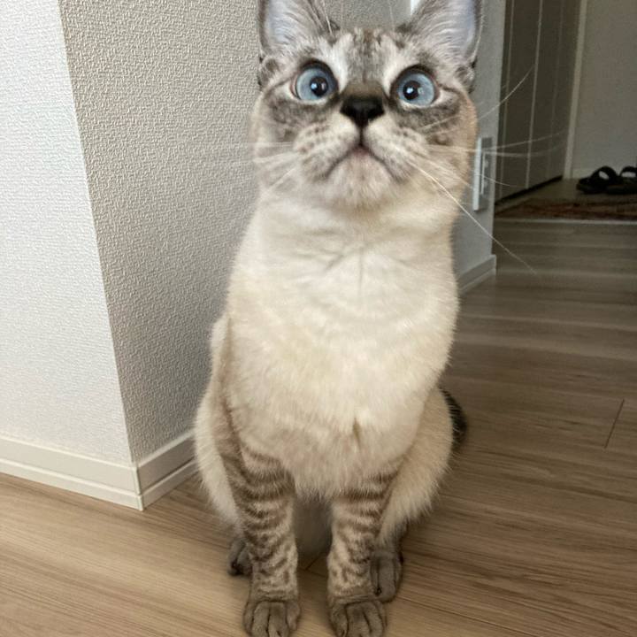 03394ea1 acc8 4b03 967a 5109c239662c 1604450239658