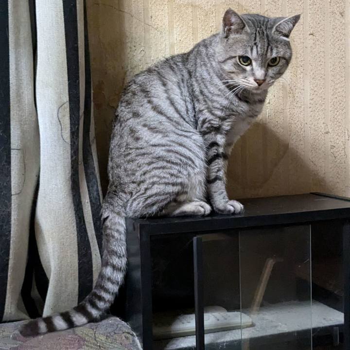 03397c55 ec33 423b 8906 f064c783ddab 1723208212720