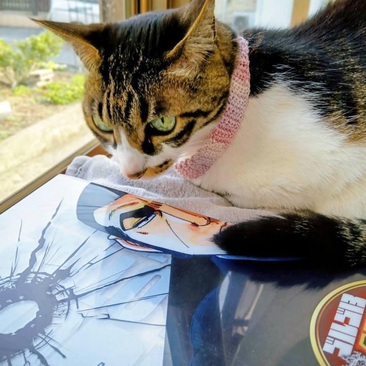 03399a2a 80be 4049 be72 131e616bb86d 1774687447053