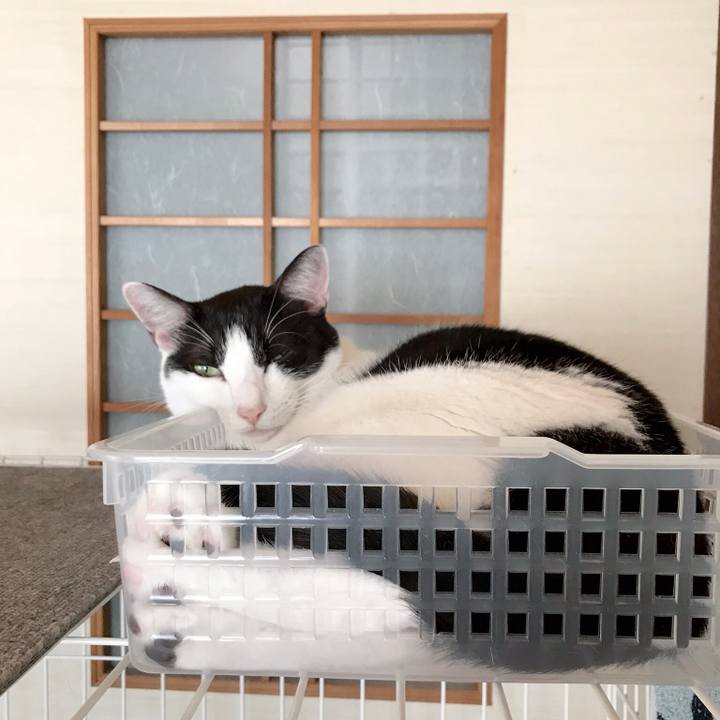 0339dd54 374a 4ef7 be93 05476a9b3286 1536991770708