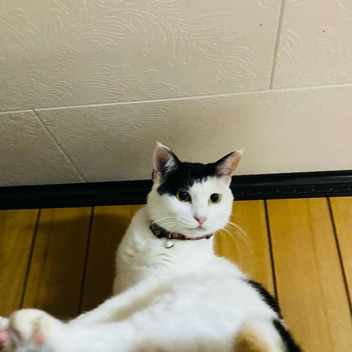 0339e5f9 ac80 4d58 856a 82690b52a1b9 1663619364200