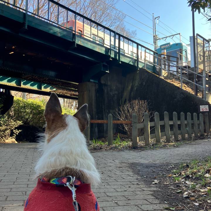 0339f797 54f3 409b a945 beea2112f10f 1674866119442